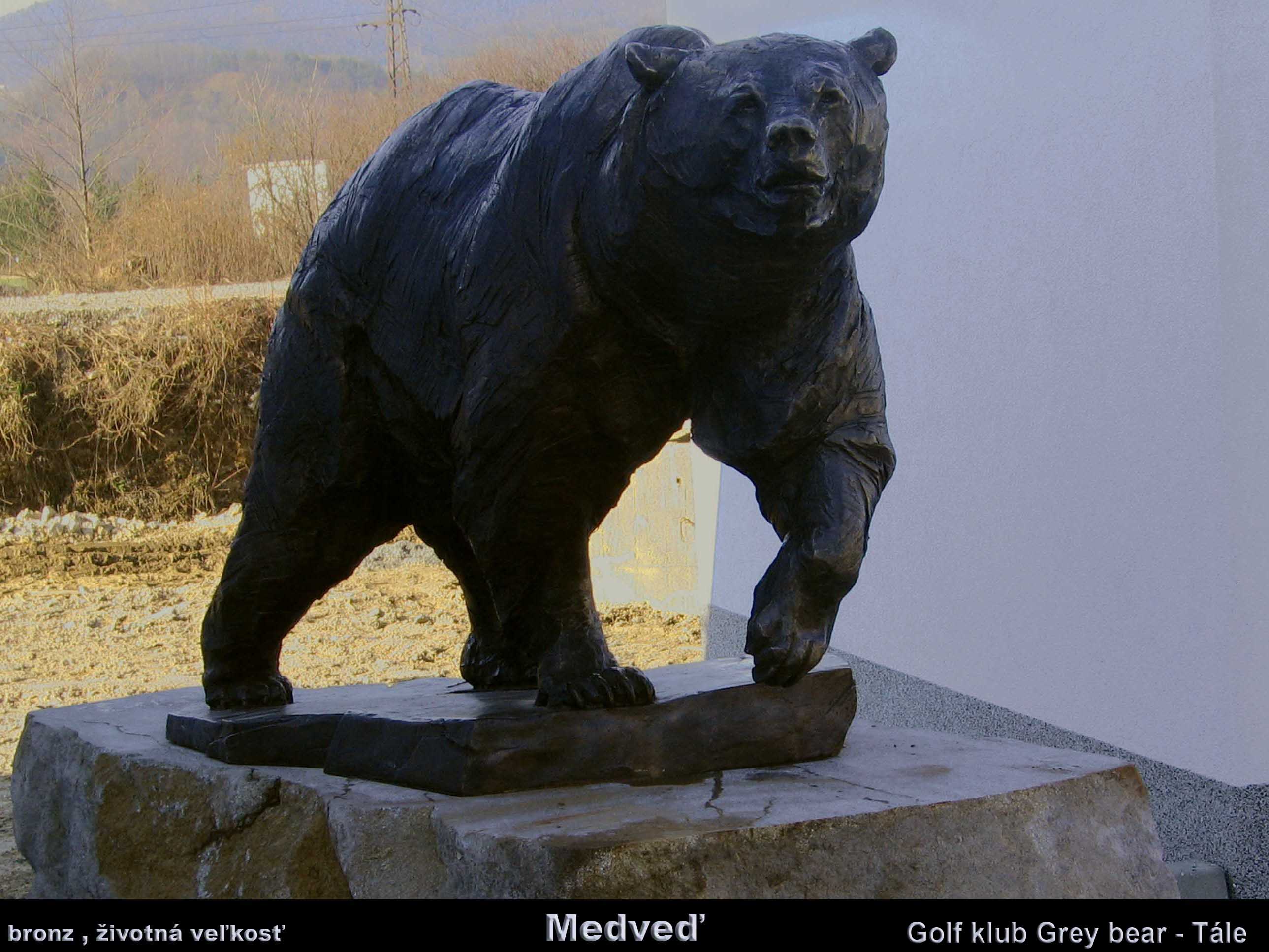 #bear,#golfbear,#bronzenbear, #statueofbear,#medved, #medvedtále,#tále